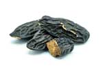 Fragrance Note Tonka Bean