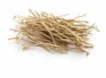 Fragrance Note Vetiver